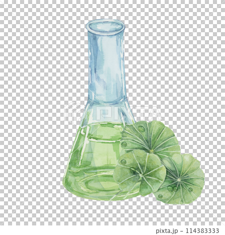 Centella asiatica and flask with green extract . Hand drawn gotu cola fluid juice glass clipart, watercolor leaves botanical illustration for cosmetics, stickers, packaging, beauty, herbal supplements 114383333
