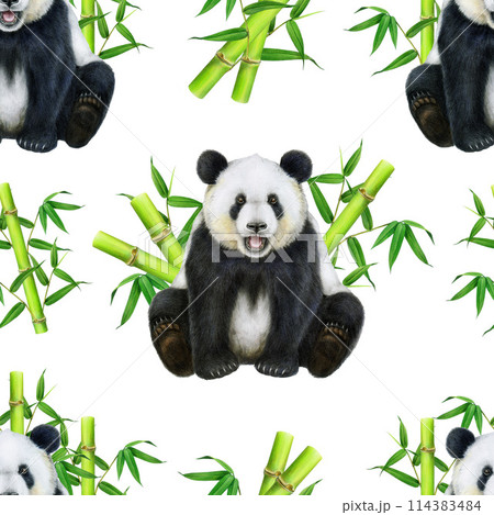 Panda with bamboo sticks seamless pattern. Watercolor illustration. Hand drawn cute asian bear. Cute sitting giant panda with bamboo seamless pattern decor. White background 114383484