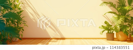 Empty wall with shadow from plants, home flower in pot near wall, banner 114383551