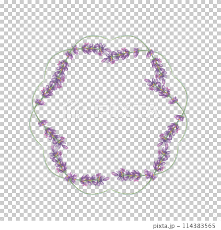 Lavender flowers, purple and violet round frame. Wildflower wreath, vintage floral design. Botanical hand drawn watercolor illustration template for wedding invitation, cards, gift tags, bridal design Lavender flowers, purple and violet round frame. Wildflower wreath, vintage floral design. Botanical hand drawn watercolor illustration template for wedding invitation, cards, gift tags, bridal design 114383565