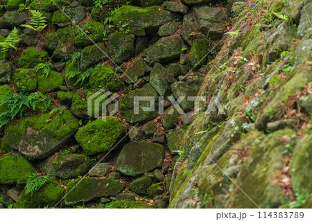 石垣 イメージ 114383789