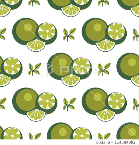 seamless pattern of limes whole and slices on a white background hand-drawn seamless pattern of limes whole and slices on a white background hand-drawn 114384092