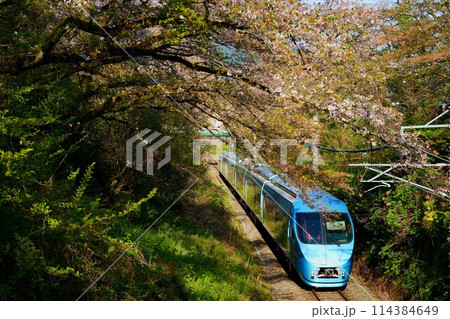 葉桜とMSE・ロマンスカー 114384649