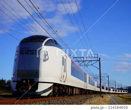 モノサクを走るリニューアルしたE259系・成田エクスプレス 114384650