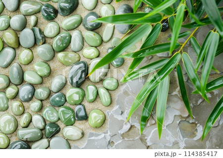 Aerial perspective of a lively bamboo plant over sleek green pebbles and sand 114385417
