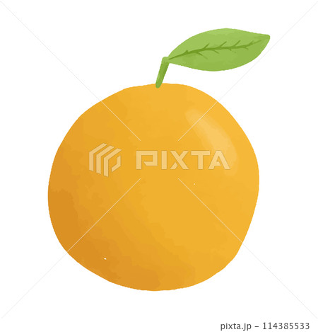 Watercolor vector illustration of an orange in childish style. 114385533