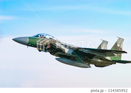 離陸する航空自衛隊戦闘機 F-15DJ 114385952