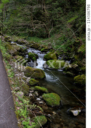 日本の滝百選 勝山 神庭の滝 岡山県真庭市 日本の滝百選 勝山 神庭の滝 岡山県真庭市 114386798