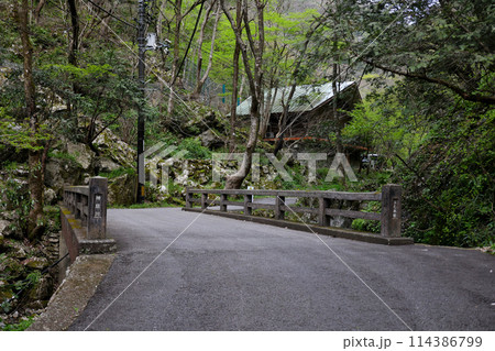 日本の滝百選　勝山　神庭の滝　岡山県真庭市 114386799
