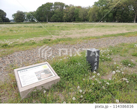 下野国分寺 寺院地溝跡 下野国分寺 寺院地溝跡 114386816