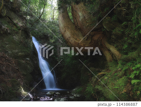 与九郎の滝 与九郎の滝 114386887