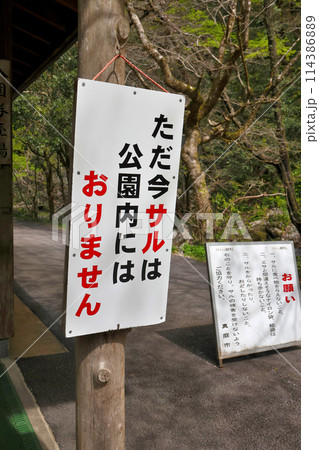 日本の滝百選　勝山　神庭の滝　玉垂の滝　岡山県真庭市　ただ今サルはおりません 114386889