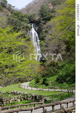 日本の滝百選　勝山　神庭の滝　玉垂の滝　岡山県真庭市 114386892