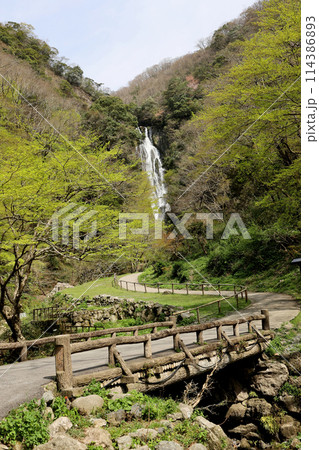 日本の滝百選　勝山　神庭の滝　岡山県真庭市 114386893