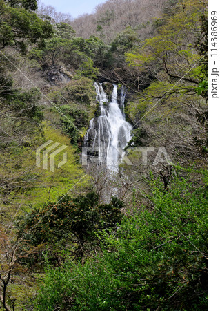 日本の滝百選　勝山　神庭の滝　岡山県真庭市 114386969