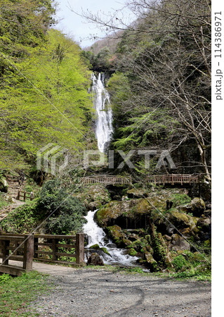 日本の滝百選　勝山　神庭の滝　岡山県真庭市 114386971