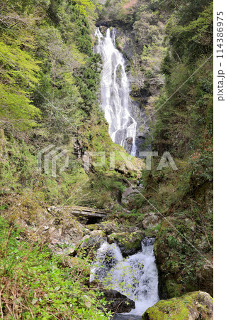 日本の滝百選　勝山　神庭の滝　岡山県真庭市 114386975