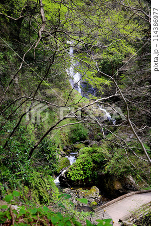 日本の滝百選　勝山　神庭の滝　岡山県真庭市 114386977