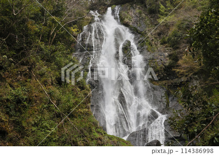 日本の滝百選　勝山　神庭の滝　岡山県真庭市 114386998