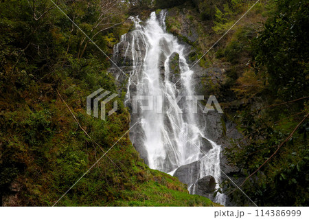 日本の滝百選 勝山 神庭の滝 岡山県真庭市 日本の滝百選 勝山 神庭の滝 岡山県真庭市 114386999