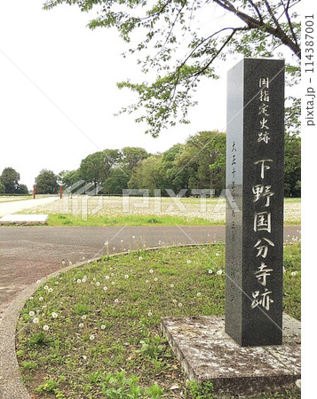 下野国分寺跡 114387001