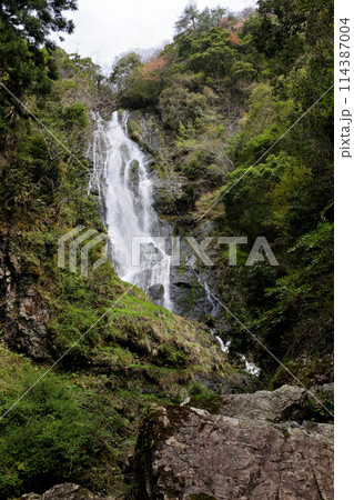 日本の滝百選　勝山　神庭の滝　岡山県真庭市 114387004