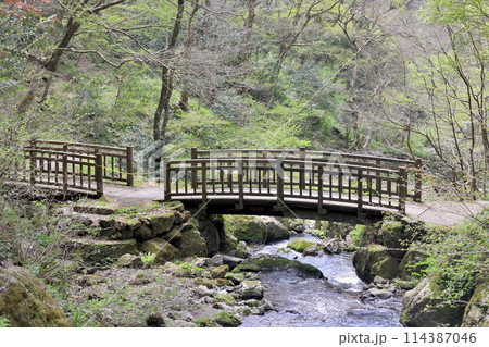 日本の滝百選　勝山　神庭の滝　岡山県真庭市 114387046