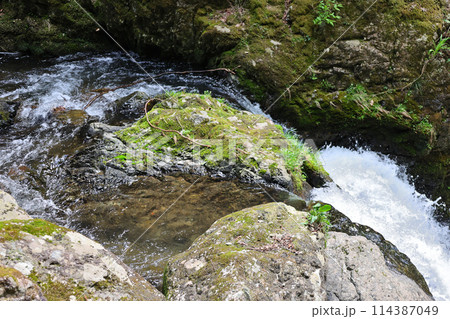 日本の滝百選　勝山　神庭の滝　岡山県真庭市 114387049
