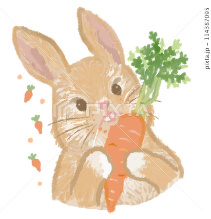 人参を食べるウサギ 114387095