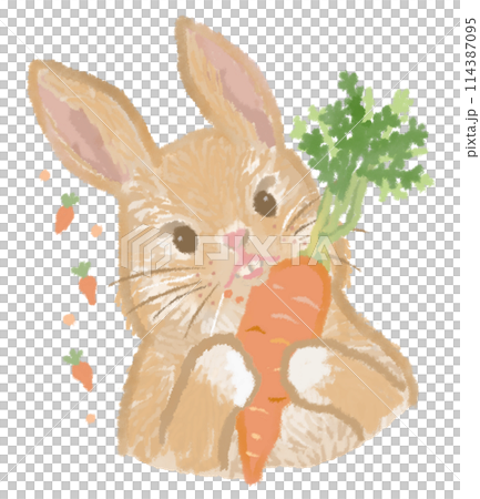 人参を食べるウサギ 114387095