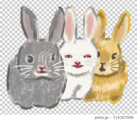 Three friendly rabbits 114387096