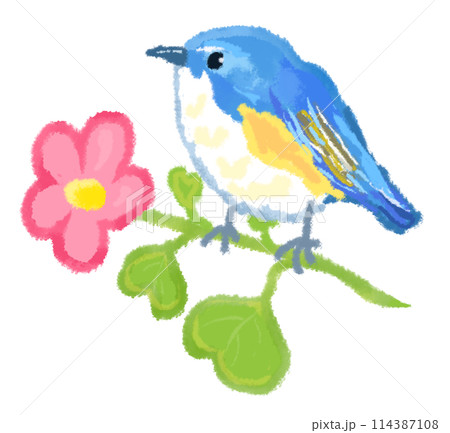 幸せの青い鳥とお花のイラスト素材 [114387108] - PIXTA