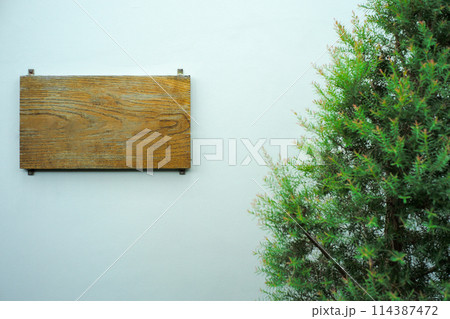 The empty wooden plate for putting some word hanging on the white wall with the tree aside The empty wooden plate for putting some word hanging on the white wall with the tree aside 114387472