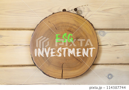 ESG environmental social governance investment symbol. Concept words ESG investment on beautiful wooden circle. Beautiful wooden wall background. Business ESG investment concept. Copy space. 114387744