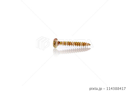 macro screw of golden color on a white background macro screw of golden color on a white background 114388417