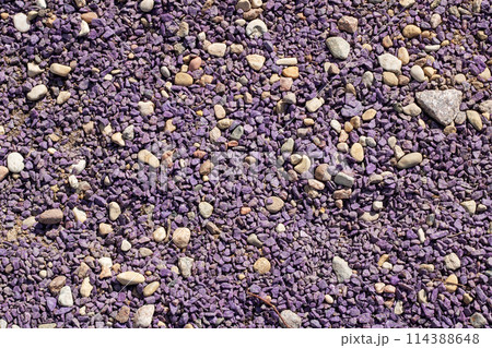 A mixture of purple gravel, rocks, and pebbles covers the ground A mixture of purple gravel, rocks, and pebbles covers the ground 114388648