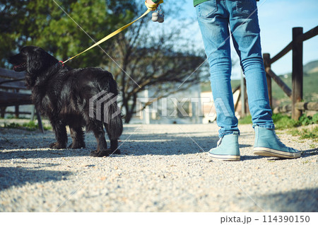 Rear view of a child walking his dog on a leash. People and animals concept. Rear view of a child walking his dog on a leash. People and animals concept. 114390150