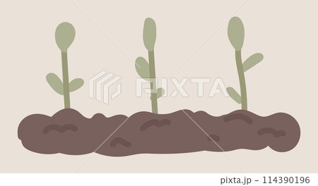 Seedling growing in garden soil in flat design. Vegetable farming process. Vector illustration isolated. Seedling growing in garden soil in flat design. Vegetable farming process. Vector illustration isolated. 114390196