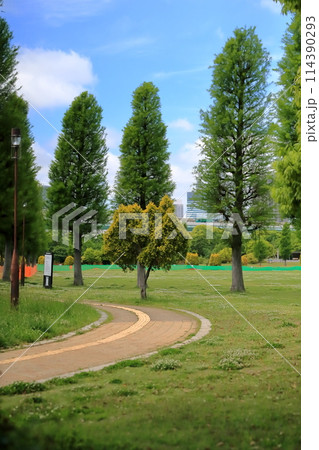 辰巳の森海浜公園の風景（東京都江東区） 114390293