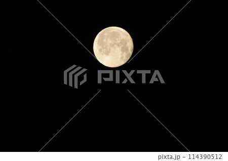 弥生三月、十六夜の月。春の月 114390512