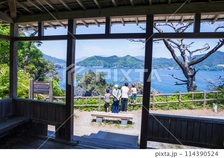「岩手県」穴通磯を展望台から眺める家族 碁石海岸 「岩手県」穴通磯を展望台から眺める家族 碁石海岸 114390524