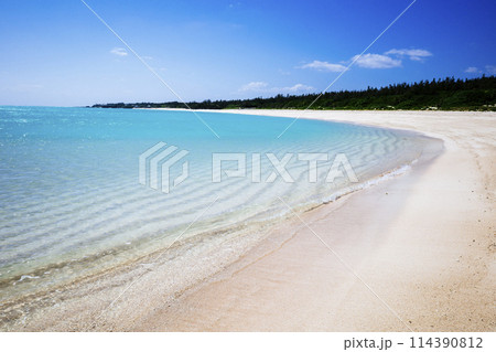 与論島の海 114390812