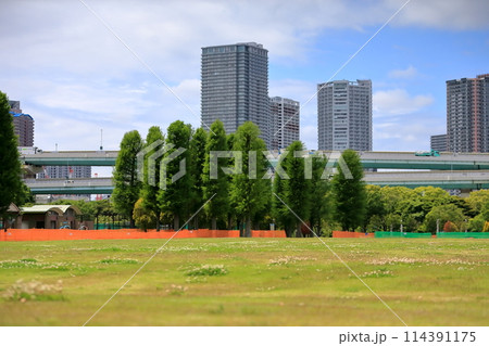 辰巳の森海浜公園の風景(東京都江東区) 辰巳の森海浜公園の風景(東京都江東区) 114391175