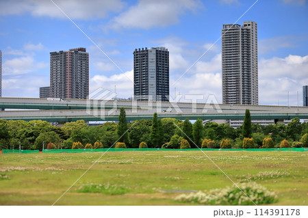 辰巳の森海浜公園の風景(東京都江東区) 辰巳の森海浜公園の風景(東京都江東区) 114391178