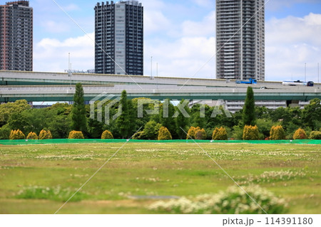 辰巳の森海浜公園の風景（東京都江東区） 114391180