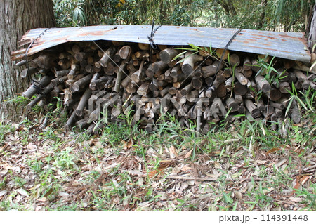 乾燥のため、トタンをかけられて木の間に積まれたシラカシの枝 114391448