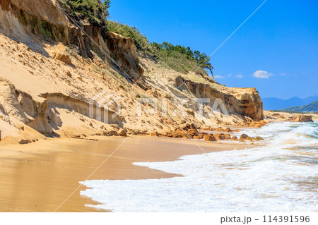 初夏の雁ノ巣砂丘　奈多断層（満潮時）福岡県福岡市 114391596