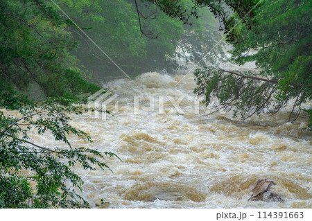 【自然災害】濁流　大雨の後の川【長野県】 114391663