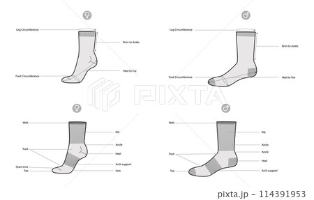 Diagrams of sock parts and measurements with text names. Hosiery Fashion accessory clothing technical illustration Diagrams of sock parts and measurements with text names. Hosiery Fashion accessory clothing technical illustration 114391953