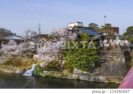 桜満開の飛騨高山(2024年)中橋より望む 114392687